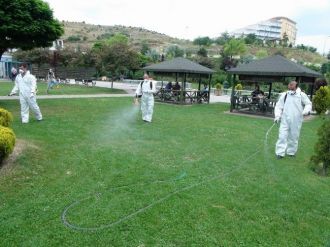 Yozgat’ta Keneye Karşı Park Ve Bahçelerde İlaçlama Çalışması