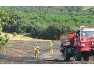 Biga’da Anız Yangını