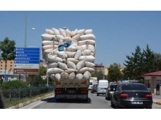 Saman Yüklü Trafik Canavarı, Men Edildi