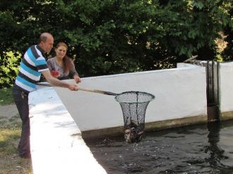 Kazdağlarından Tüm Türkiye’ye Alabalık