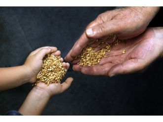 İzmir Büyükşehir Seferihisar’da Toprak Analizi Yaptı