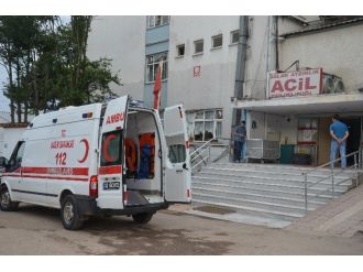 Ağaçtan Düşen Kadın Yaralandı