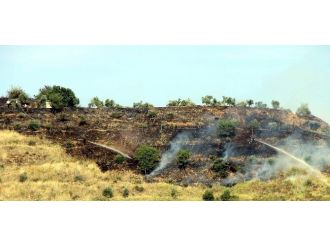 Aydın’da Örtü Yangını Korkuttu