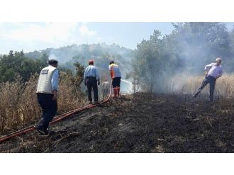 Koyulhisar’da Ekili Tarlalar Yandı