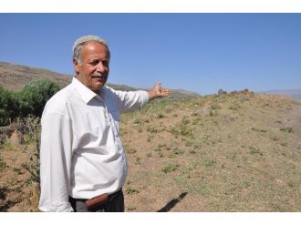 Tarihi Selçuklu Mezarlığı Kaderine Terk Edildi