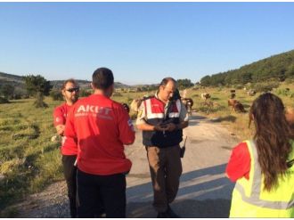 Zeynep’i Arama Çalışmaları Sürüyor