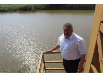 Yenipazar Dip Gölü Akyaka Gibi Oluyor