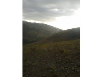 Koyunlarını Otlatan Çoban Dağda Ölü Bulundu