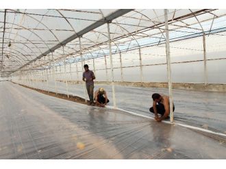 Solarizasyon, Kimyasal Kullanımını Yüzde 60 Engelliyor
