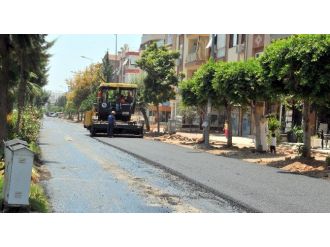 Yükseliş’in Tüm Yolları Yenileniyor