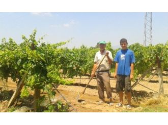 Üzüm Üreticilerine Sulama Desteği