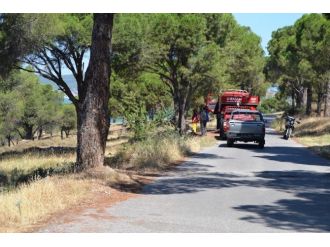 Atılan Sigara İzmariti Ormanı Kül Ediyordu