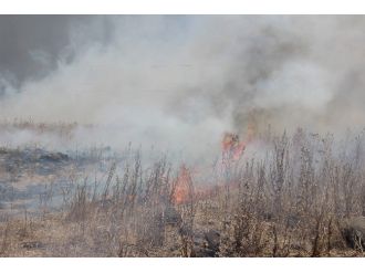 Diyarbakır’da Çıkan Anız Yangını Binadaki Vatandaşları Korkuttu
