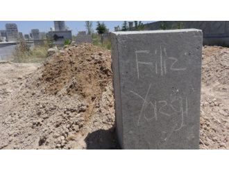 Üç Kadının Öldüğü Olayda Planlı Cinayet İddiası