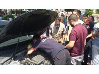 Trafik Işıklarında Kedi Kurtarma Operasyonu