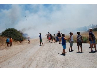 Didim’deki Yangında 80 Dekar Arazi Zarar Gördü