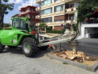 İbb’den “Emirgan’da Çürüyen Ağaç” Açıklaması