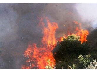 Muğla Orman Bölge Müdürü Kara’dan Yangın Uyarısı