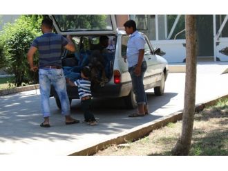 Zenginler Süs Köpeklerini, Çiftçiler Çoban Köpeklerini Gözü Gibi Bakıyor