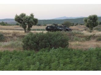 Diyarbakır’da 206 Bin 500 Kök Hint Keneviri Ele Geçirildi