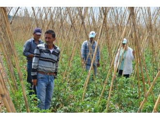Erdemli’de Dolu Yağışı Zarara Yolaçtı