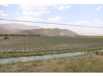 Gürpınar Belediyesi’nden Seracılık Projesi