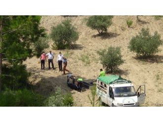 Osmaniye’de Vahşet