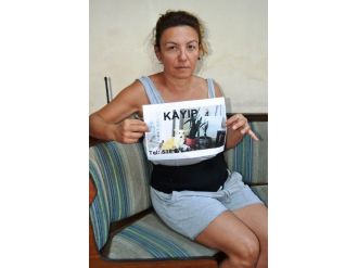 Her Yerde Kayıp Köpeğini Arıyor