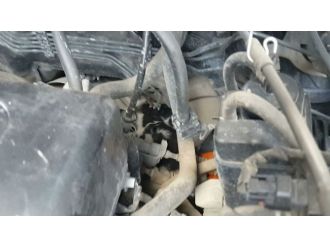 Kedi Kurtarma Operasyonu