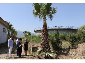 Büyükşehir’den Çevreye Büyük Saygı