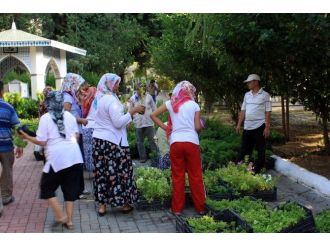 Mezarlıklar Çiçek Açacak