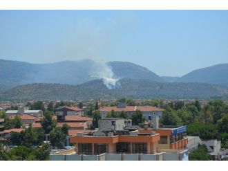 Selçuk’ta İki Ayrı Bölgedeki Orman Yangını Korkuttu