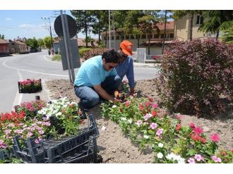 Seyitgazi’de Bayram Seferberliği