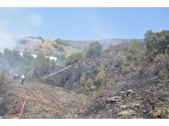 Gazipaşa’da Anız Yangını Korkuttu.