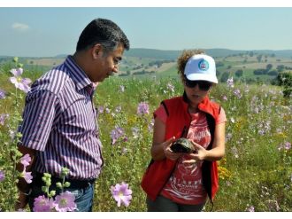 Bilecik’te Ulusal Biyolojik Çeşitlilik Envanter Ve İzlemeprojesi