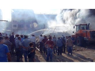 Erciş Ağaç Meydanında Yangın