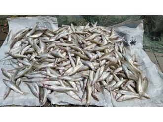 Jandarmadan Beyşehir Gölü’nde Yavru Balık Denetimi