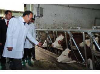 Dap Ve Çiftçi Örgütlerinden Çiftçilere Bedelsiz Proje Desteği.. (Tekrar)