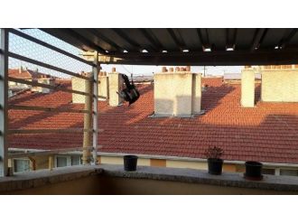 Kurtardıkları Kargayı Tedavi Ettiler