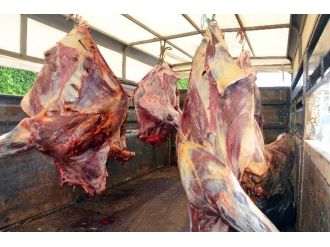Etleri Sağlıksız Koşullarda Taşıyan Sürücüye Ceza