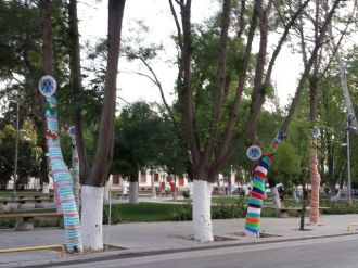 Vilayet Parkında Ağaçlar Bayramlıklarını Erken Giydi