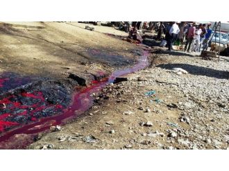 Vanlı Kasaplardan Hayvan Pazarındaki Görüntüye Tepki