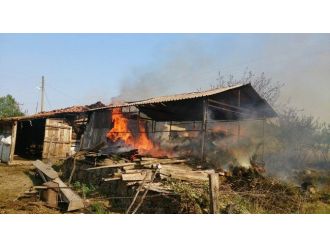 Yangını Söndürmek İsterken Yandılar