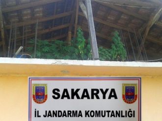 Sakarya’da Uyuşturucu Operasyonu