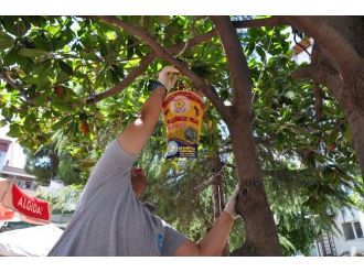 Büyükşehir Belediyesinden Karasinekle Mücadele