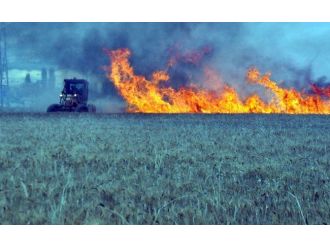 Buğday Tarlalarında Yangın