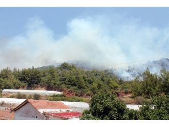 Kumluca’da Makilik Yangını