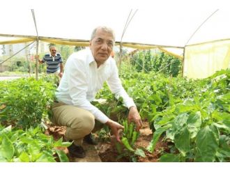 Mezitli Belediyesi Aşevi’ne Gönüllü Desteği