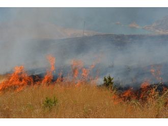Adilcevaz’da Orman Yangını