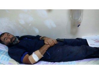 Kelkit’te Ayı Dehşeti